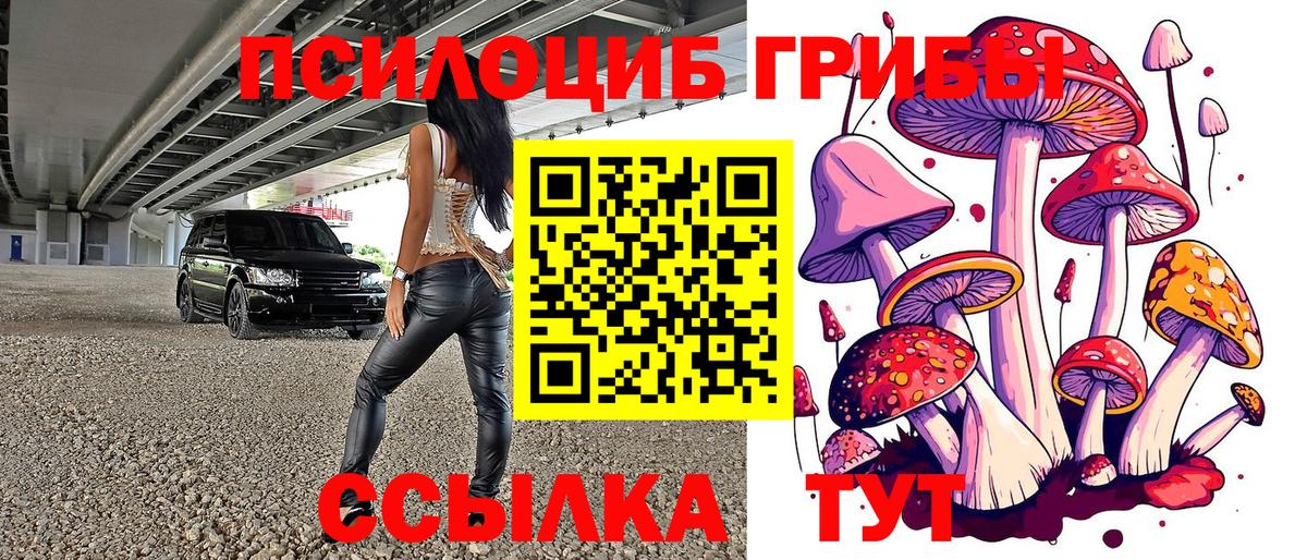 Галлюциногенные грибы мицелий  Вход с VPN  Камень-на-Оби 